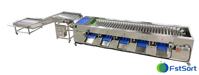 images/1710230151619pepinos de frutas.jpg